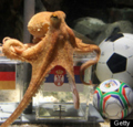 Paul the World Cup Octopus